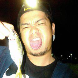 真夜中アジング